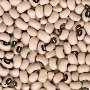 black-eyes-beans-1483481024-2669877_1_500x black-eyes-beans-1483481024-2669877_1_500x