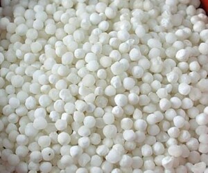 sabudana-1626413759-5851881 sabudana-1626413759-5851881
